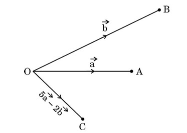 Vector Movement Diagram